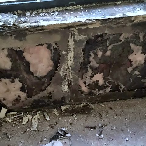 A rotten wall plate and damaged framing exposed along the base of a wall